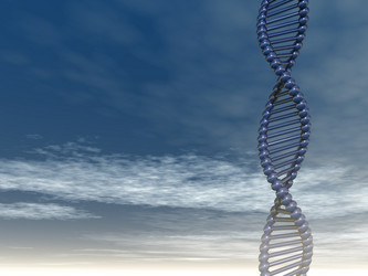 Similar image 6305488