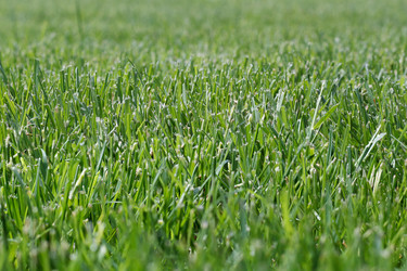 Similar image 6305507