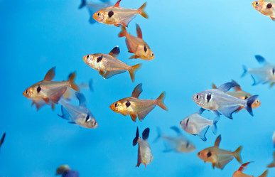 Similar image 6306088