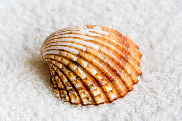 Similar image 6306141