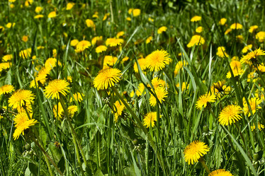 Similar image 6306162