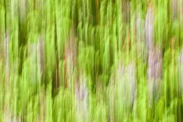 Similar image 6306163