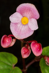 Similar image 6306205