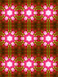 Similar image 6306440