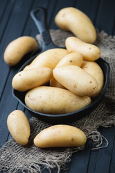 Similar image 6306450