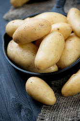 Similar image 6306461