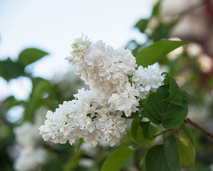 Similar image 6306643