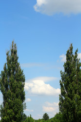 Similar image 6306668