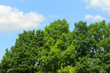 Similar image 6306670