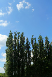 Similar image 6306671