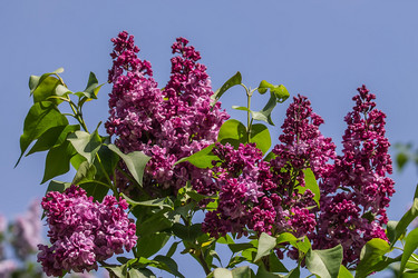 Similar image 6306673