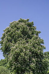 Similar image 6306674