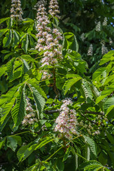 Similar image 6306675