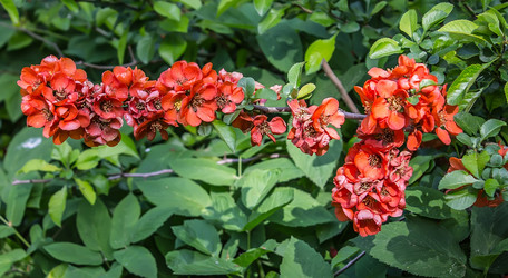 Similar image 6306676