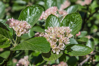 Similar image 6306677