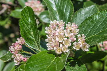 Similar image 6306678