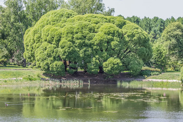 Similar image 6306679