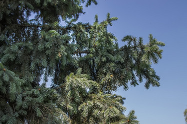 Similar image 6306681