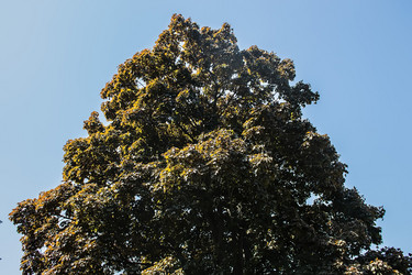 Similar image 6306682