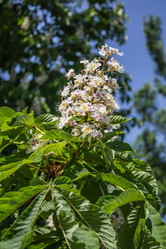 Similar image 6306683