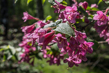 Similar image 6306694