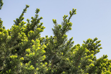 Similar image 6306695