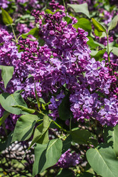 Similar image 6306696