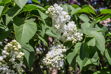 Similar image 6306697