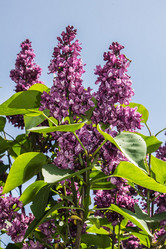 Similar image 6306698