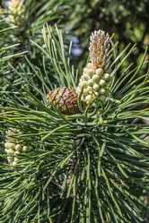 Similar image 6306699