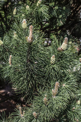 Similar image 6306700