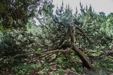 Similar image 6306701