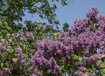 Similar image 6306702