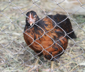 Similar image 6306808