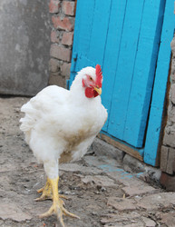 Similar image 6306809