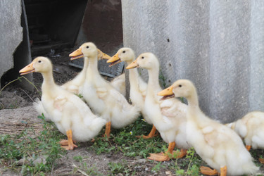 Similar image 6306811