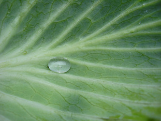 Similar image 6306846