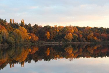 Similar image 6306941