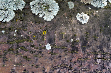 Similar image 6306945