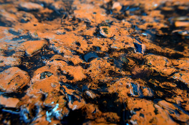 Similar image 6306948