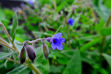 Similar image 6306959