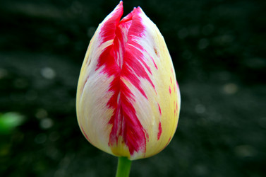 Similar image 6306960