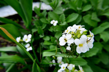 Similar image 6306964