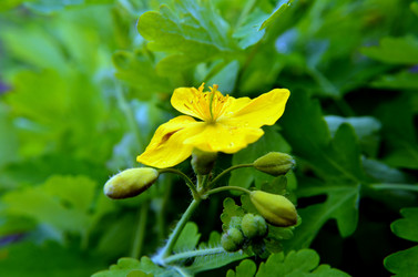 Similar image 6306965