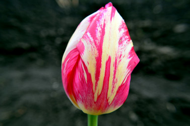 Similar image 6306966