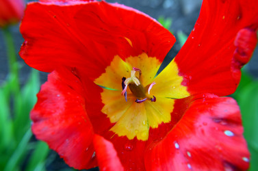 Similar image 6306967