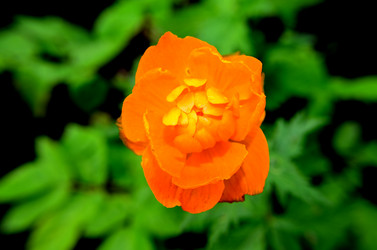 Similar image 6306968