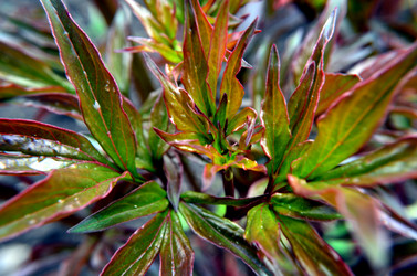 Similar image 6306969