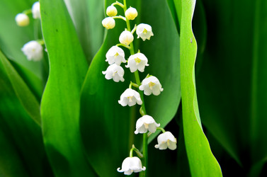 Similar image 6306970