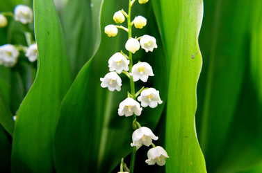 Similar image 6306971